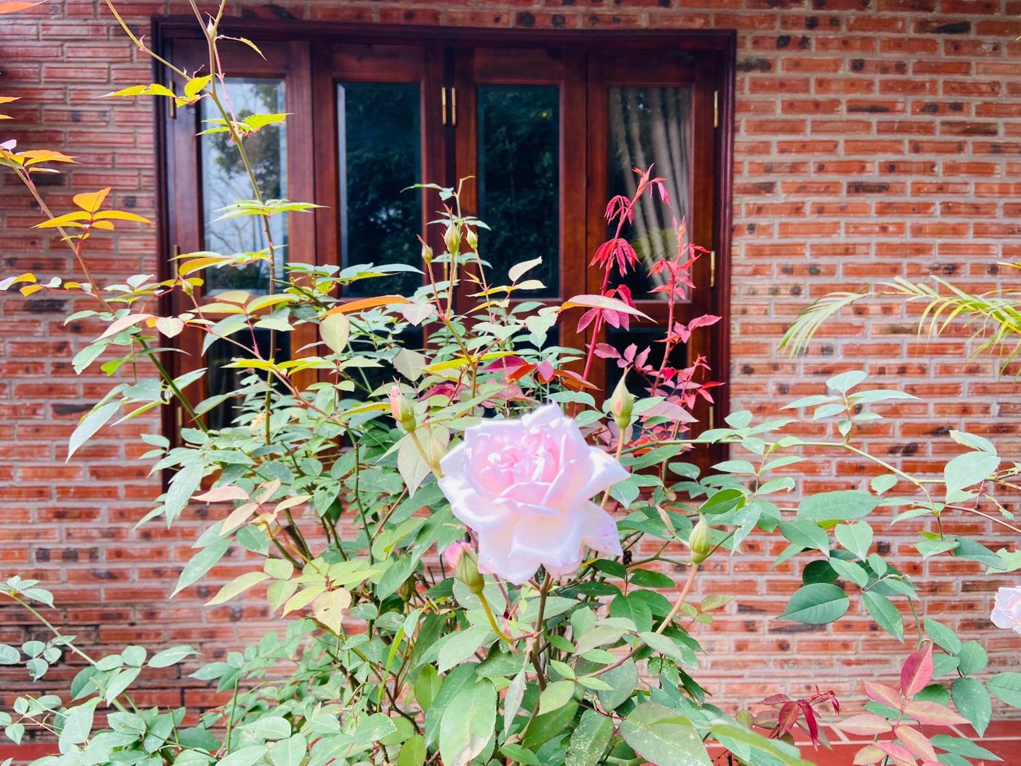Ninh Binh Friendly Homestay ภายนอก รูปภาพ