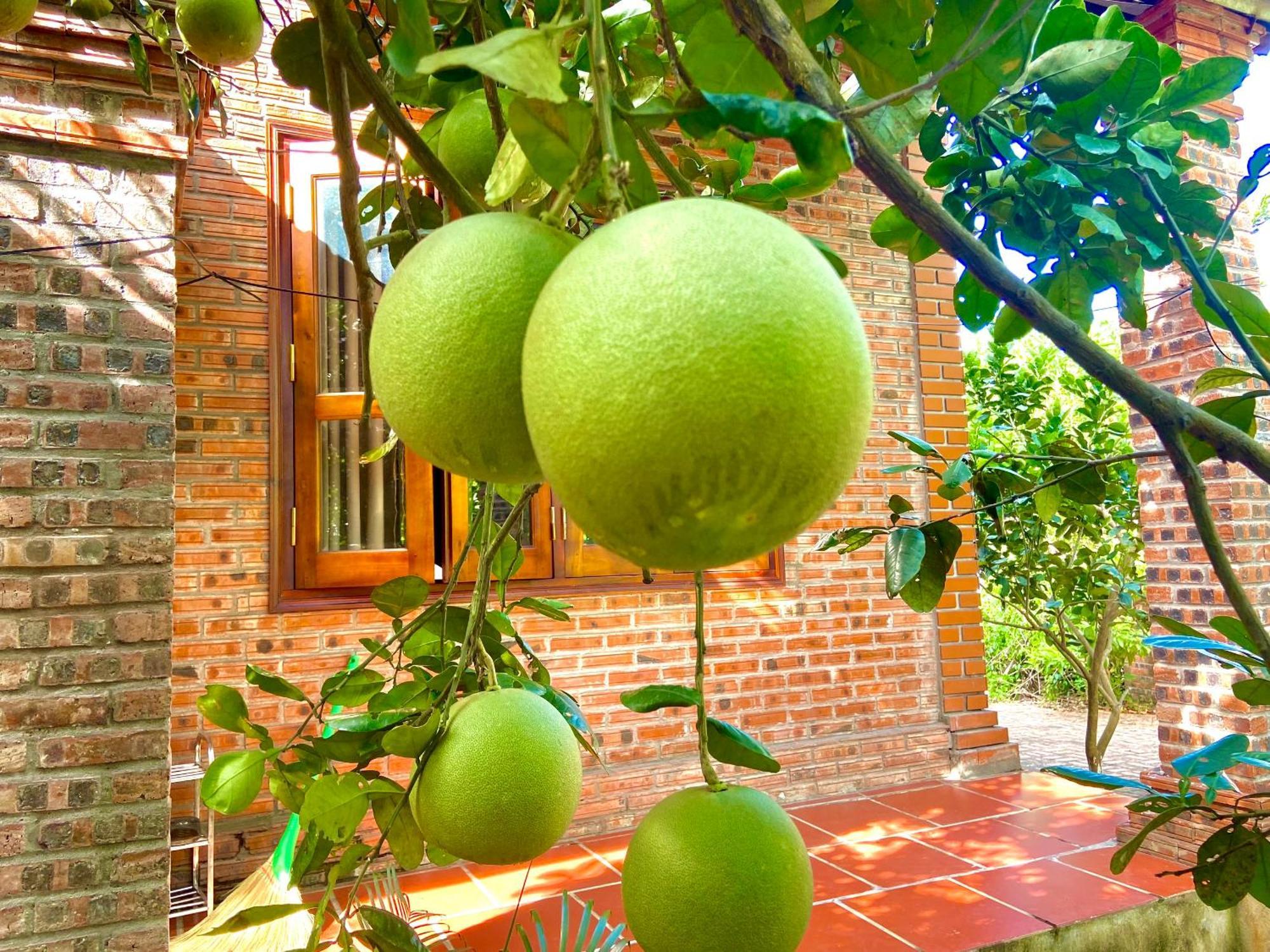 Ninh Binh Friendly Homestay ภายนอก รูปภาพ