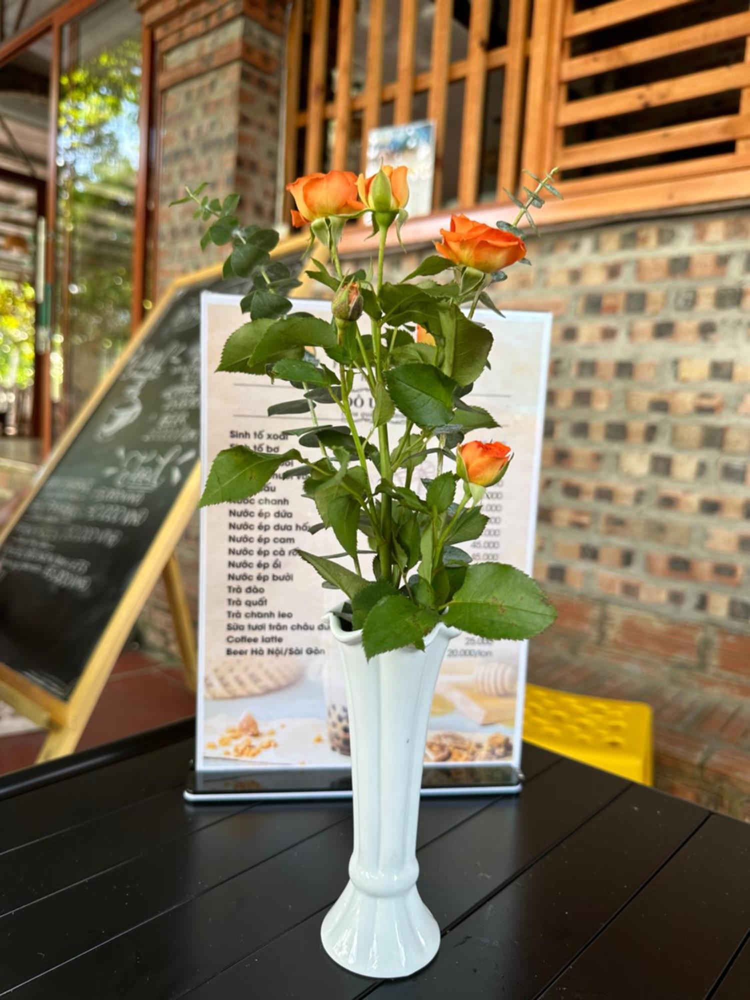 Ninh Binh Friendly Homestay ภายนอก รูปภาพ