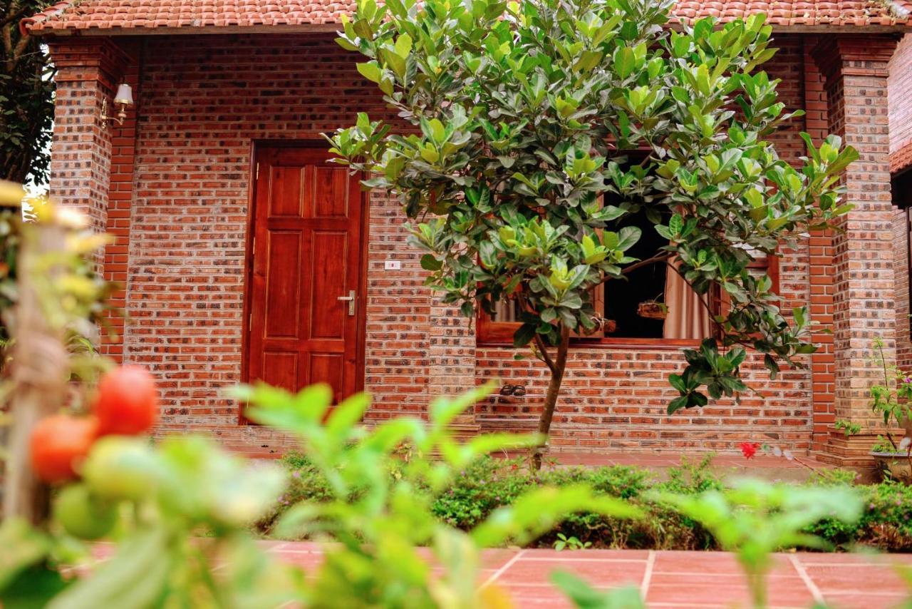 Ninh Binh Friendly Homestay ภายนอก รูปภาพ